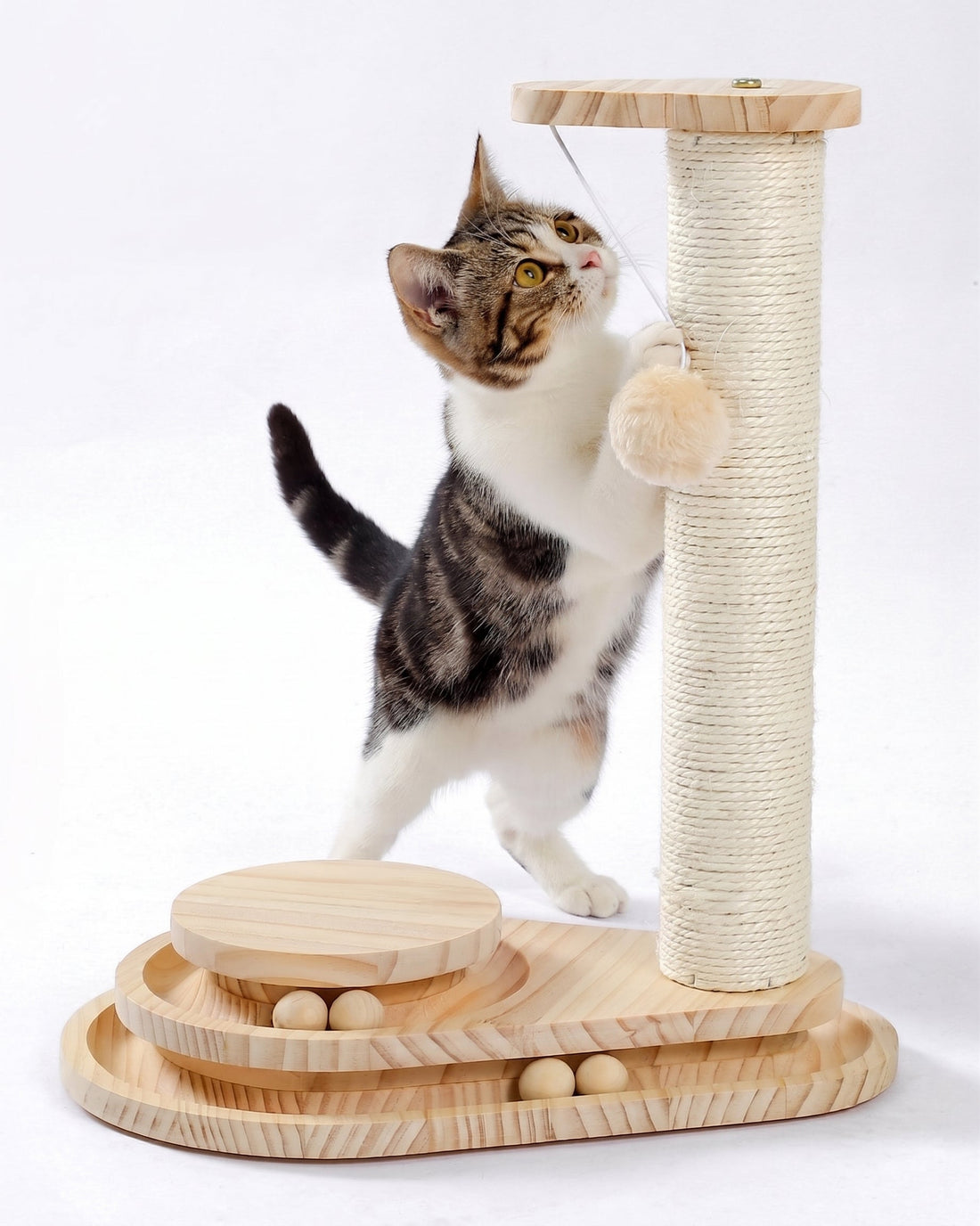 Indoor Cat Toys | Scratching Board & Ball Track | DaisyFind - DaisyFind