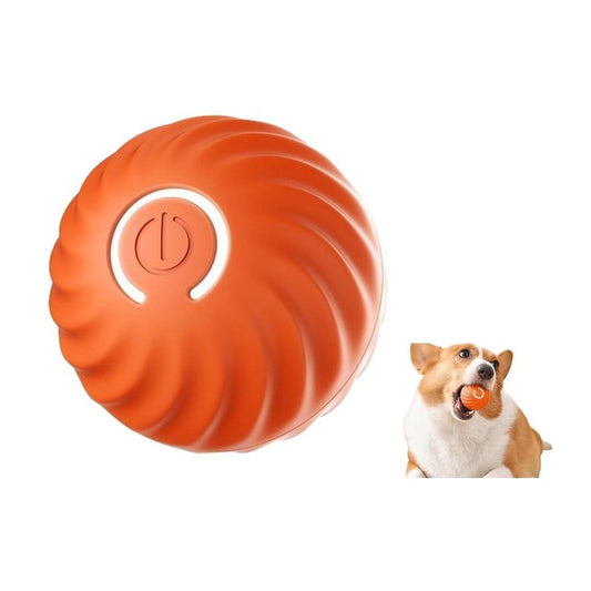 Pet Bouncing Ball