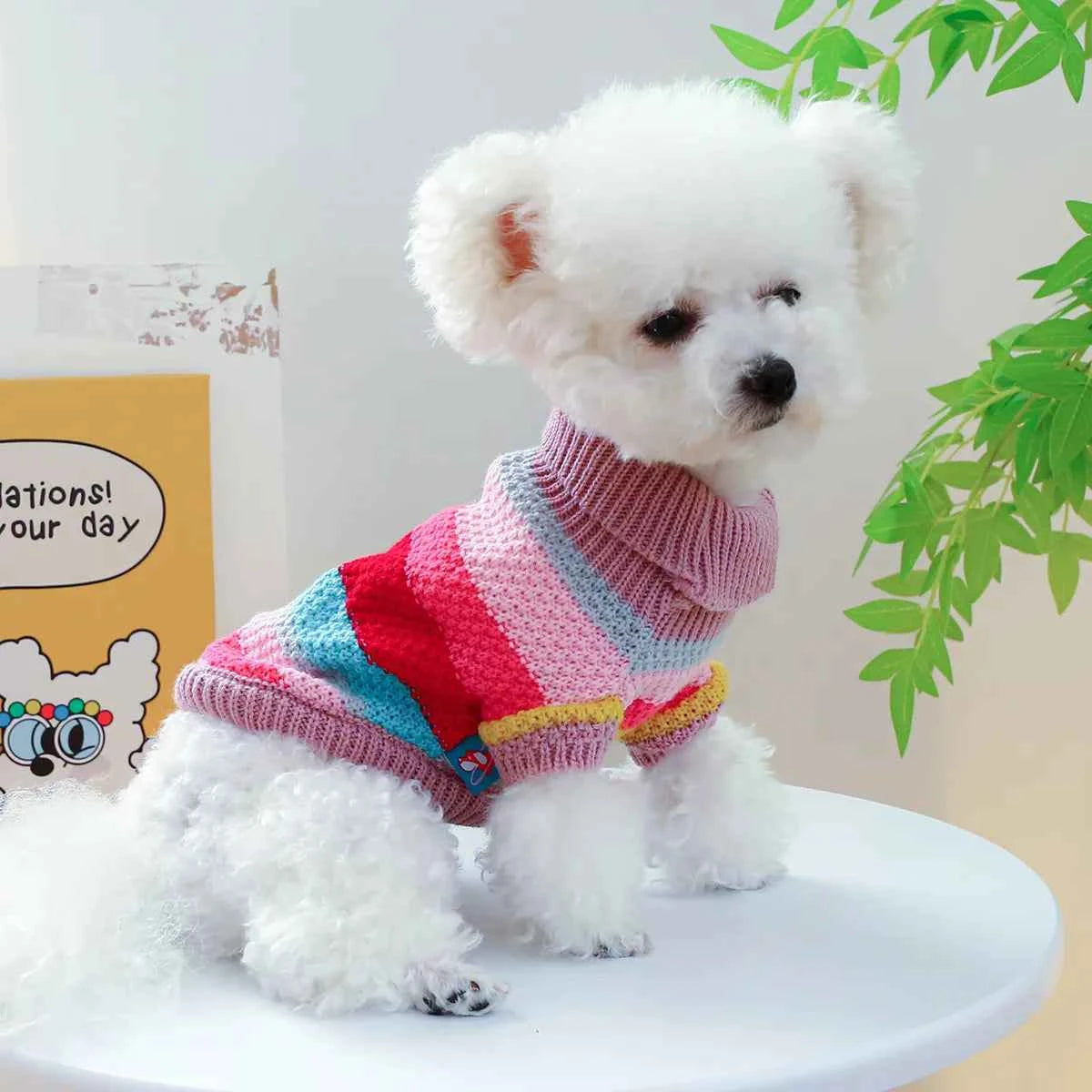 Pet Colorful Sweater