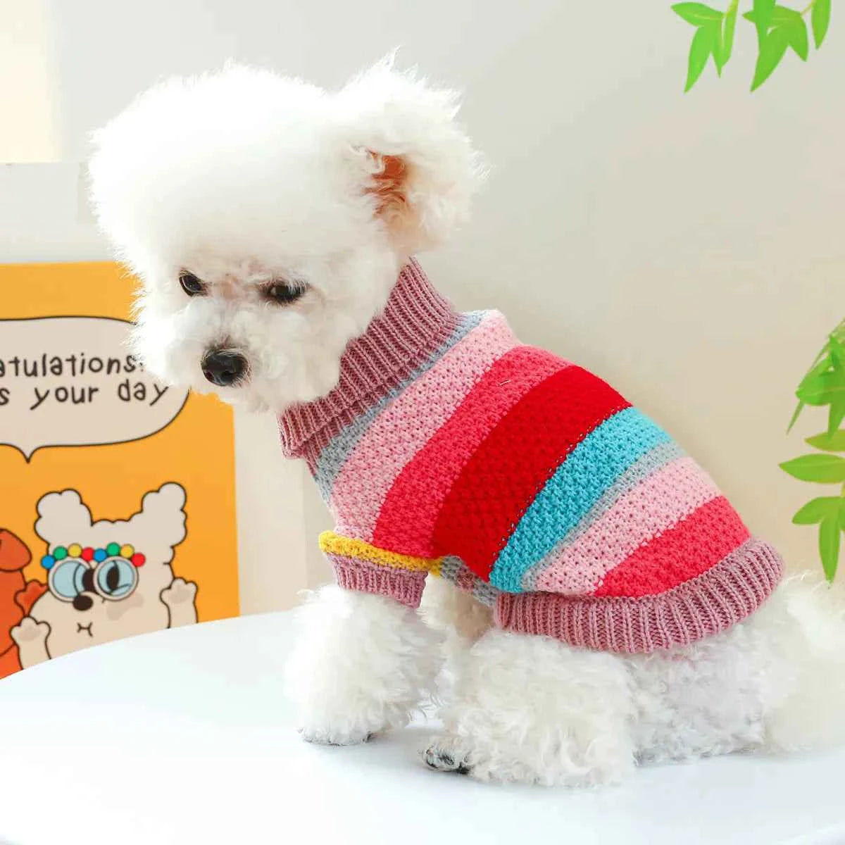 Pet Colorful Sweater