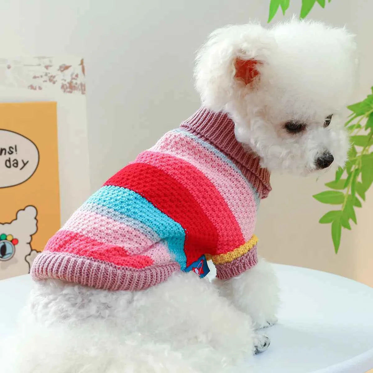 Pet Colorful Sweater