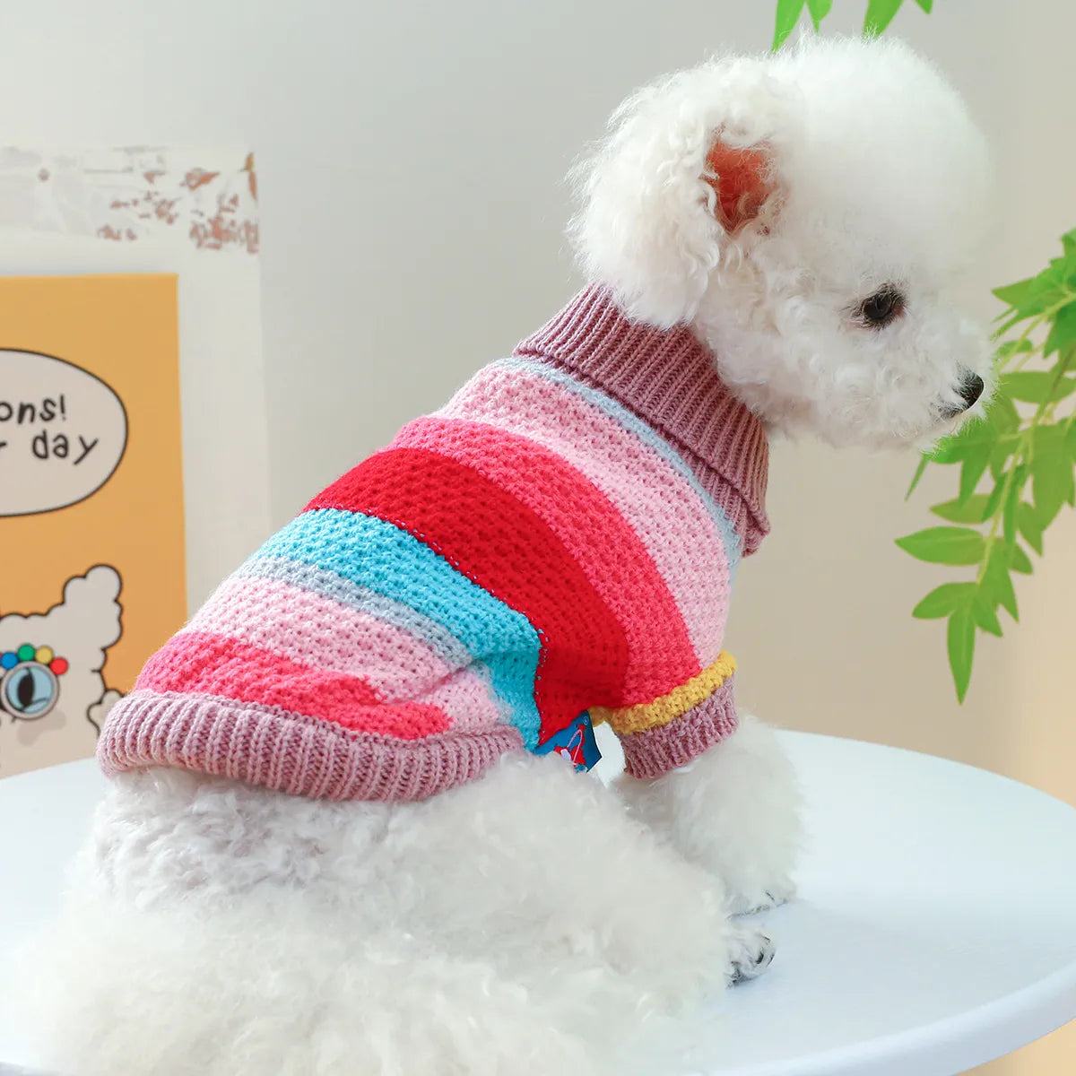 Pet Colorful Sweater