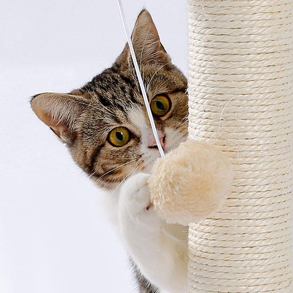 Indoor Cat Soft Scratching Board And Interactive Ball Track Toy