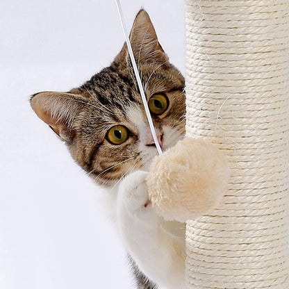 Indoor Cat Soft Scratching Board And Interactive Ball Track Toy