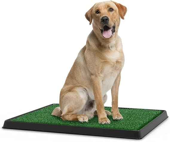 Dog Potty Training Artificial Grass Pad Pet Cat Toilet Trainer Mat