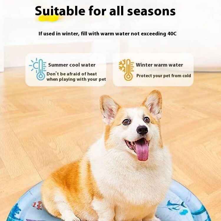 Cooling Pet Water Bed: The Ultimate Comfort Oasis for Your Cat