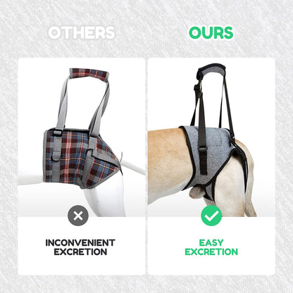 Supportive Strap for Elderly Dogs
