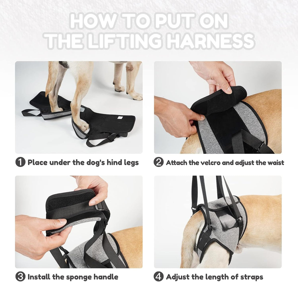Supportive Strap for Elderly Dogs