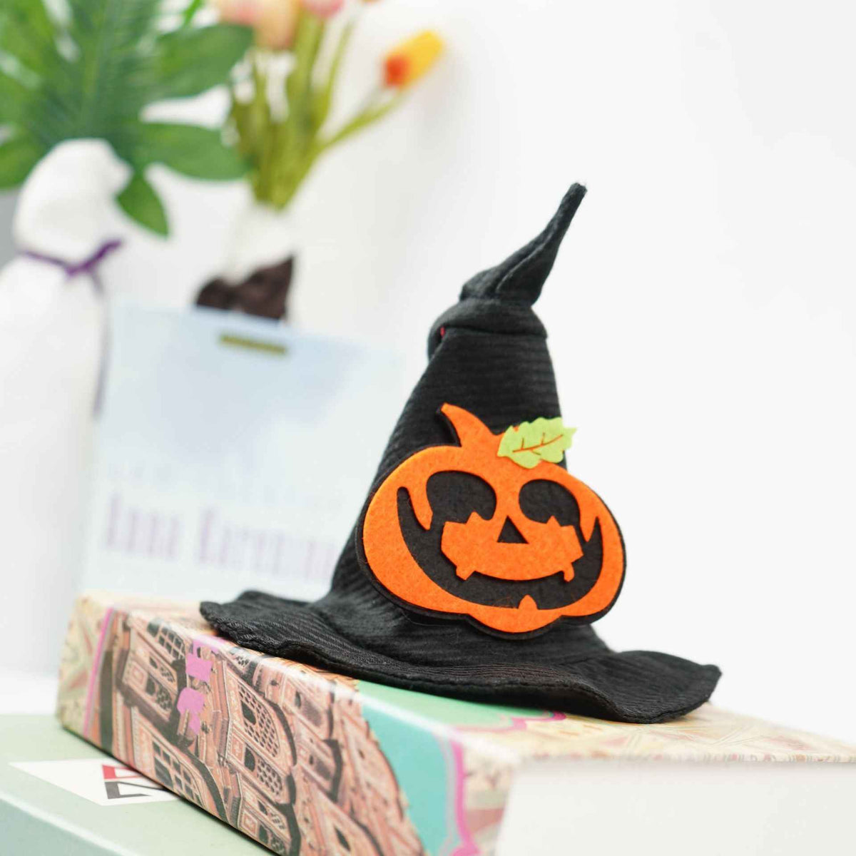 Transform Into Magic Halloween Creative Pet Hat