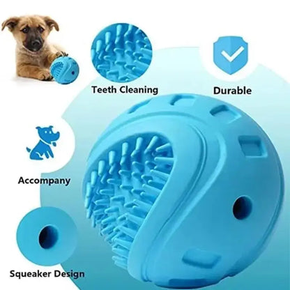 Interactive Dog Treat Ball, A Chewing Toy