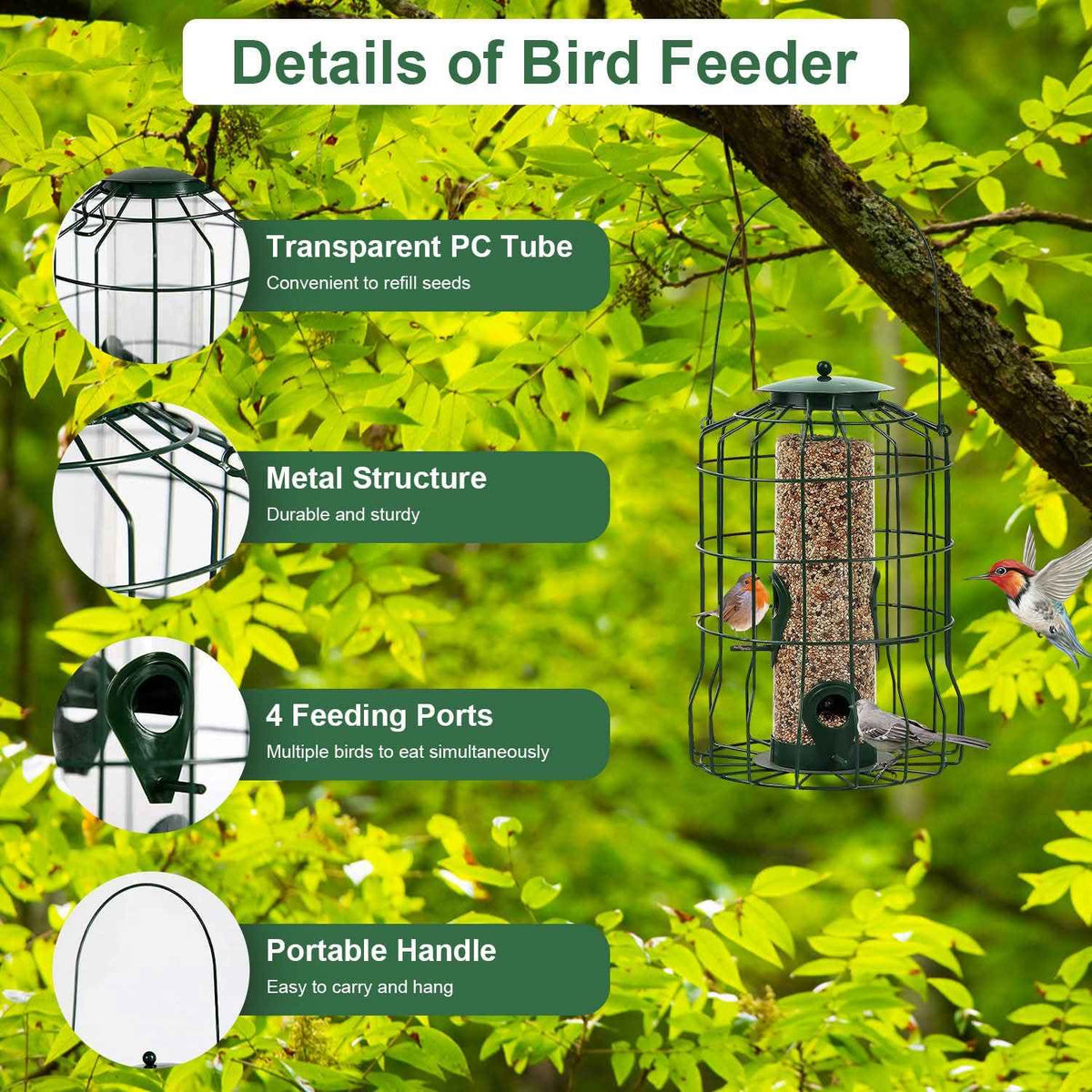 Outdoor Squirrel-Proof Bird Feeder