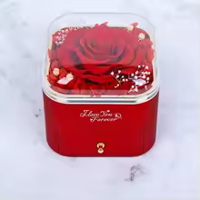 Eternal Rose Jewelry Box: A Luxurious Keepsake for Timeless Treasures - DaisyFind