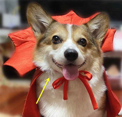 Halloween Pet Costume Cape Vampire King